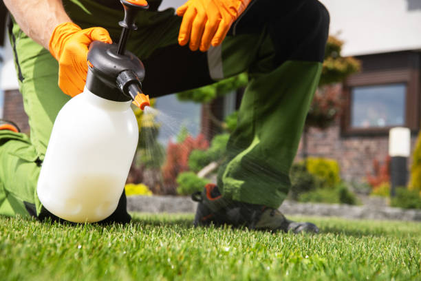 Best Best Pest Control Companies  in Campbell, MO