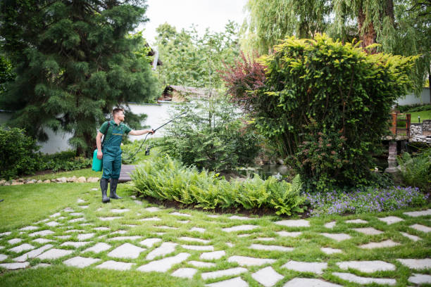 Best Best Pest Control Companies  in Campbell, MO