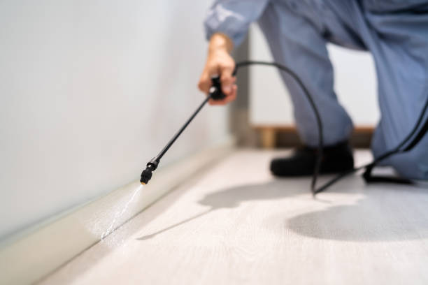 Best Pest Prevention Services  in Campbell, MO