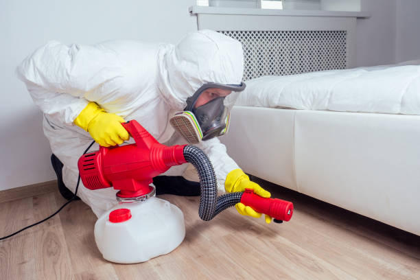 Best Local Pest Control Services  in Campbell, MO