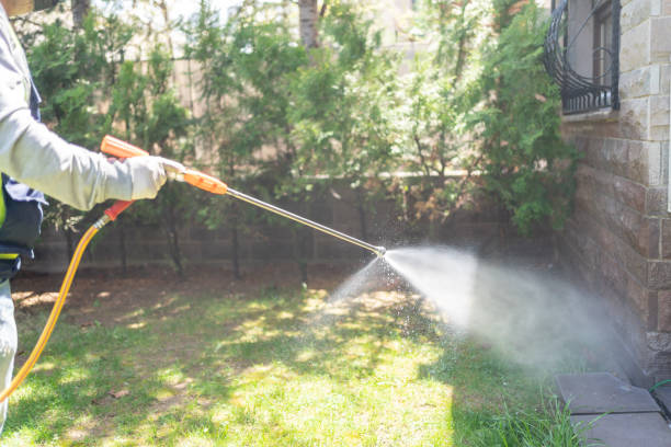 Best Wasp Removal Services  in Campbell, MO