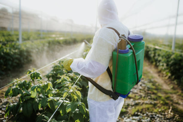 Best Mosquito Control Services  in Campbell, MO
